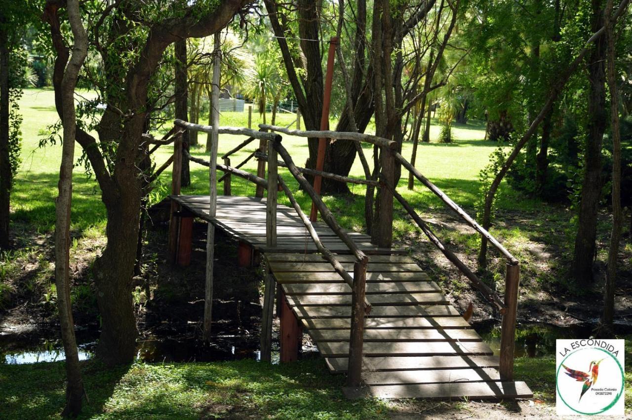 Chacra La Escondida Vila Colónia do Sacramento Exterior foto
